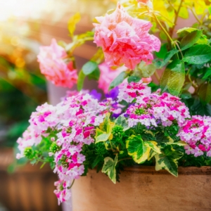 close up of custom planter